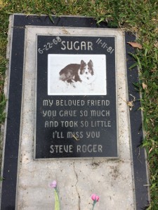 Sugar